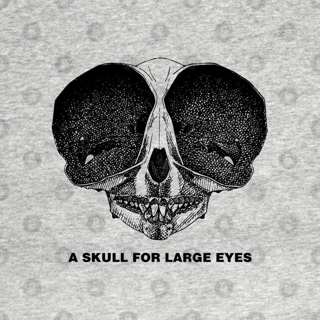 A Skull for Big Eyes by Bommush Designs